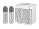 100W Peak High Power Portable Karaoke Bluetooth Speaker Wireless Microphone Suit Intelligent External Singing Equipment